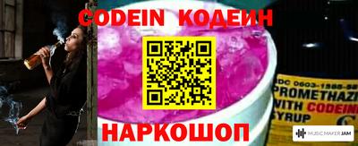 хмурый Жуковский