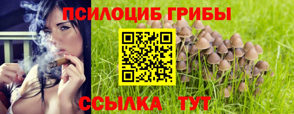 Ликино-Дулёво  Галлюциногенные грибы Psilocybe  Псилоцибиновые грибы Psilocybe  Вход с VPN 